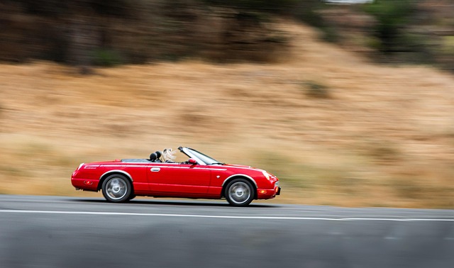 Wide shot of a vintage convertible cruising on a scenic highway.